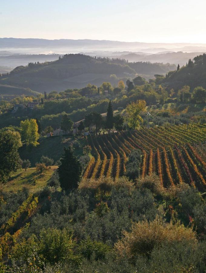 Agriturismo & Winery Il Bacio Villa Tavarnelle Val di Pesa Luaran gambar