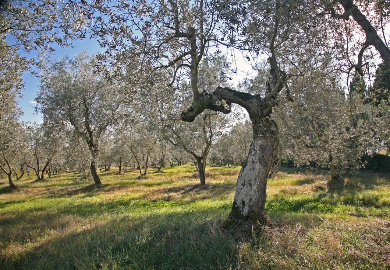 Agriturismo & Winery Il Bacio Villa Tavarnelle Val di Pesa Luaran gambar